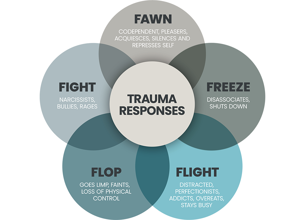 A graphic that highlights the Trauma Responses: Fawn, Freeze, Flight, Flop, & Fight. Learn more about how our bodies react to trauma in Trauma Counseling in Birmingham, AL.