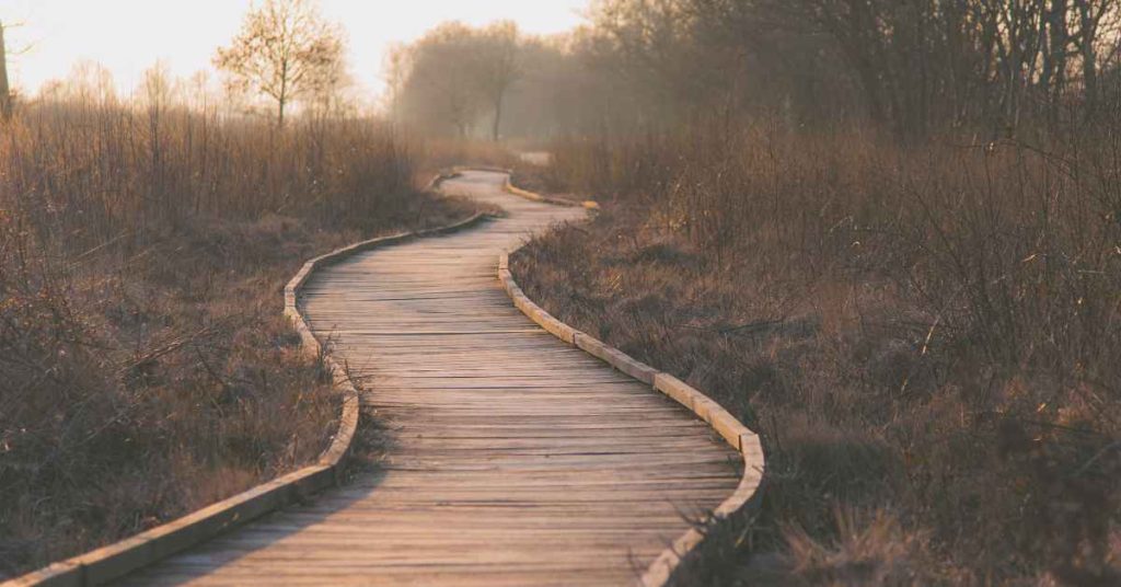 a path symbolizing the path to stop procrastination and achieve goals is reverse engineering/ Empower Counseling to stop procrastination/ 35224