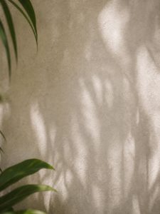 shadows on wall